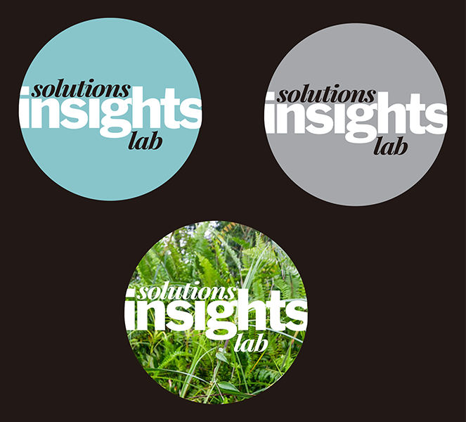 SJN Insights Logos